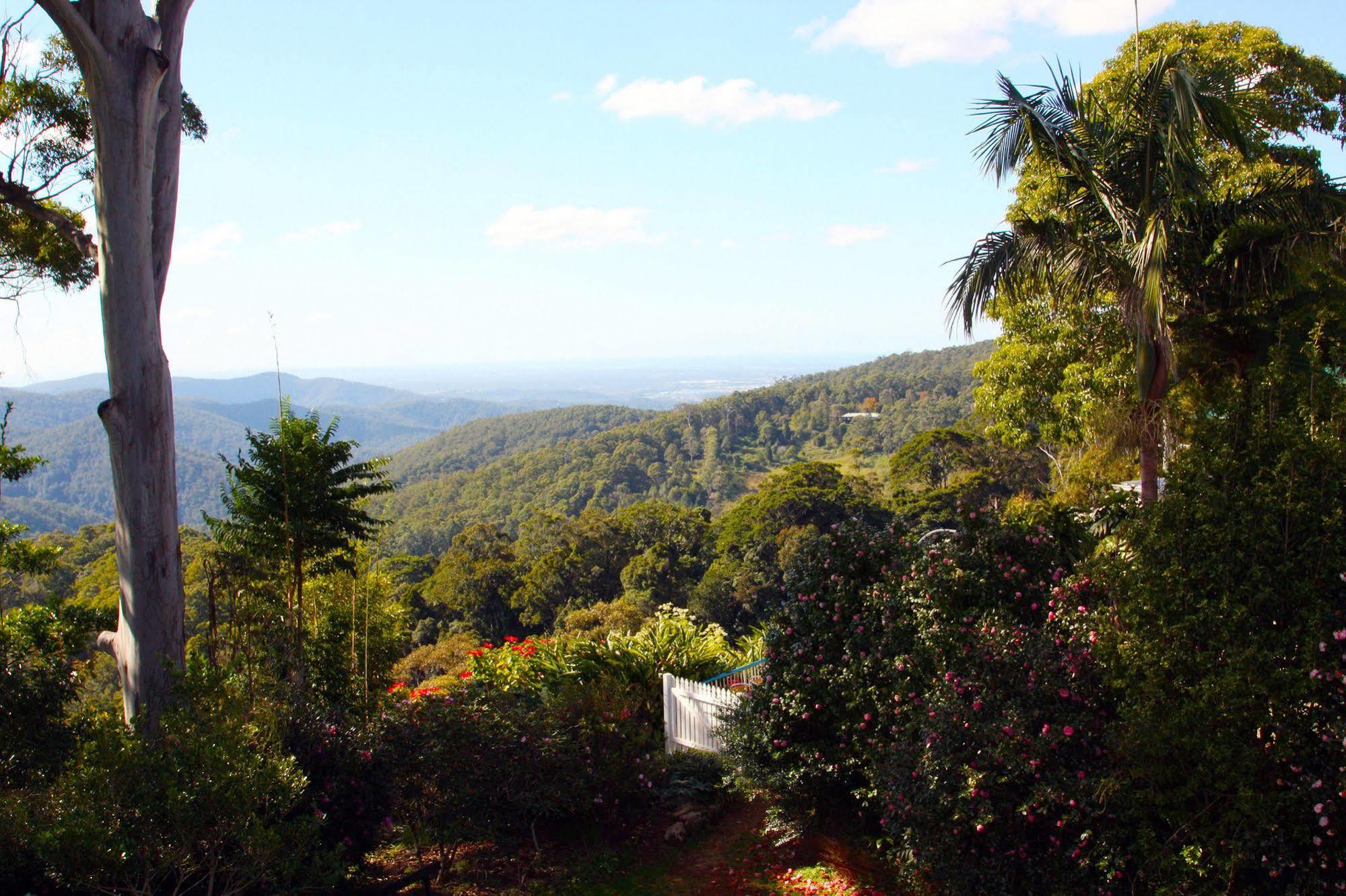 The Tamborine - Boutique Hotel Motel Mount Tamborine